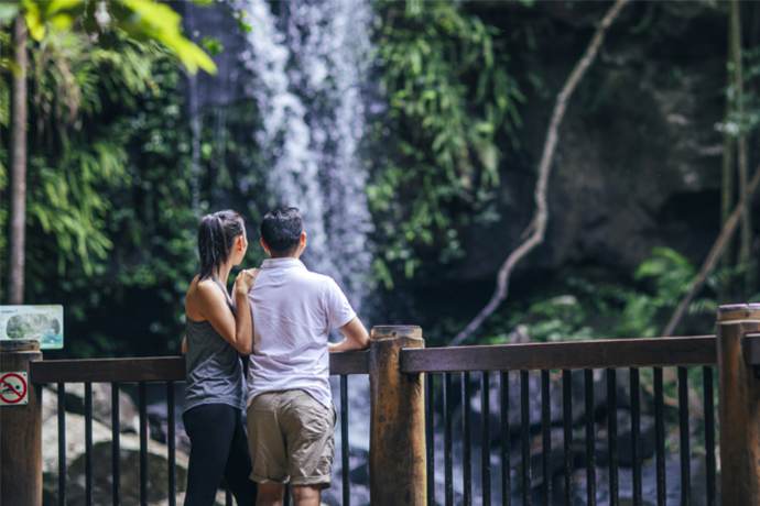 黄金海岸春溪国家公园柯蒂斯瀑布