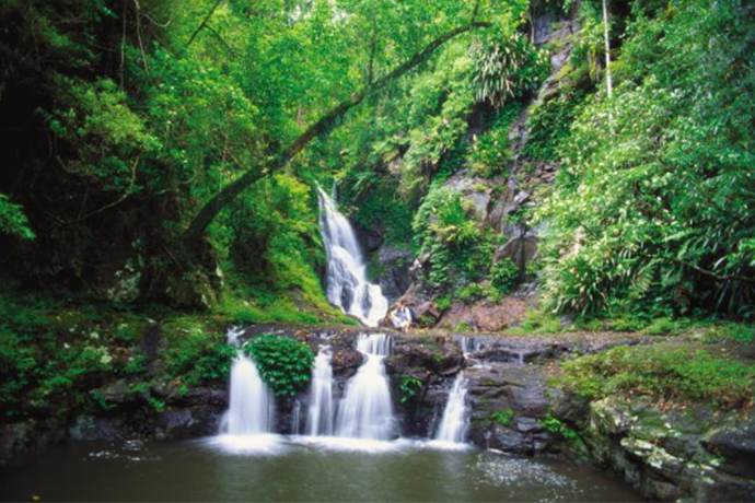 黄金海岸春溪国家公园瀑布