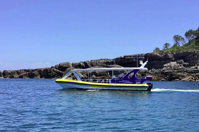 悉尼杰维斯游船