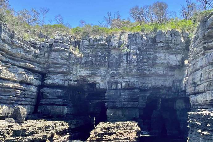 悉尼杰维斯湾岩石