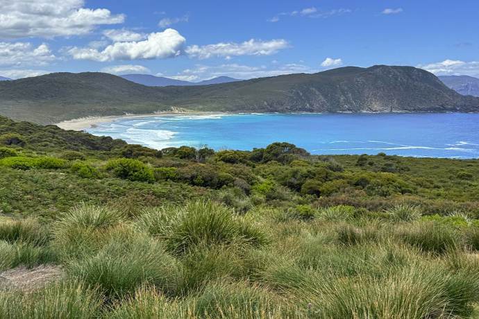 塔州布鲁尼岛海湾全景