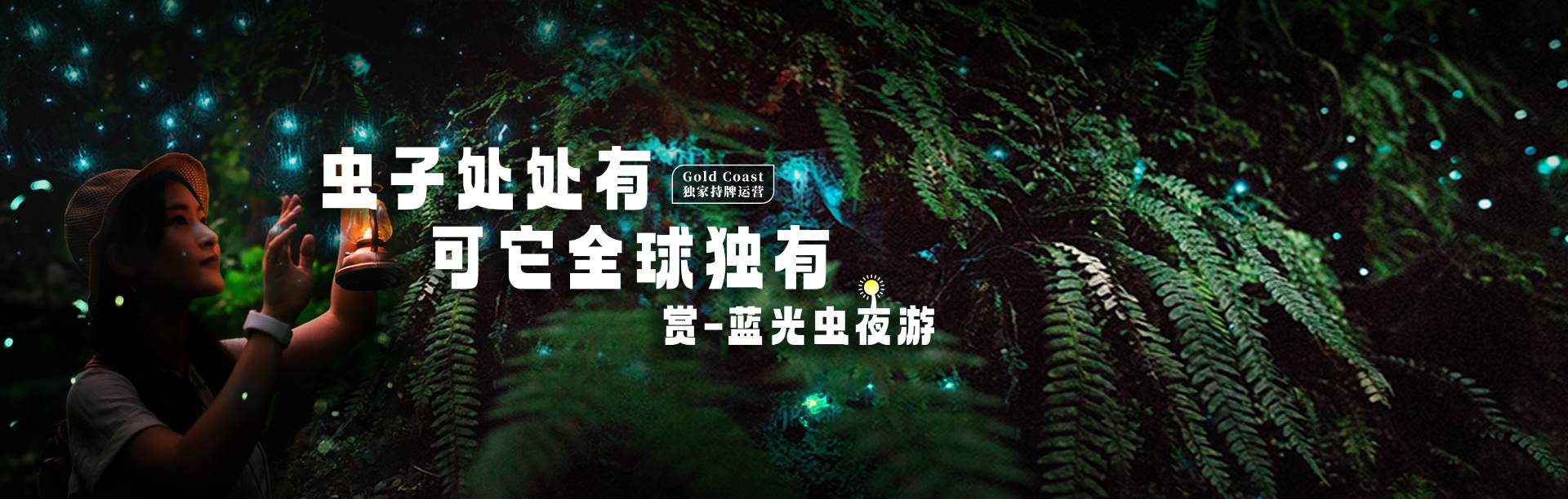 黄金海岸天保林山热带雨林蓝光萤火虫-夜空南十字星座观星，持牌独家运营。